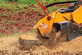 Best Leaf Removal  in Rockdale, TX
